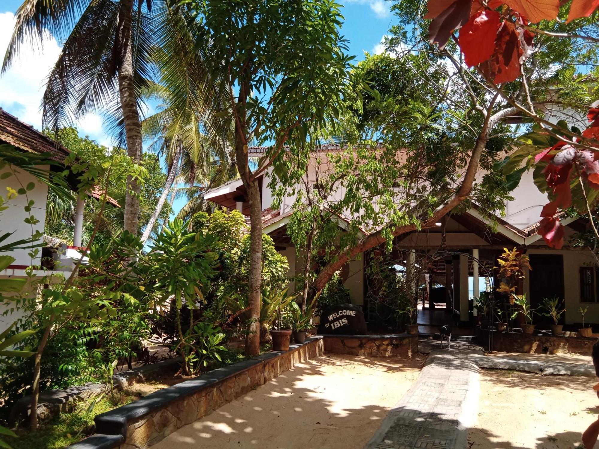 Ibisbird Beach Bungalow Tangalle Exterior foto