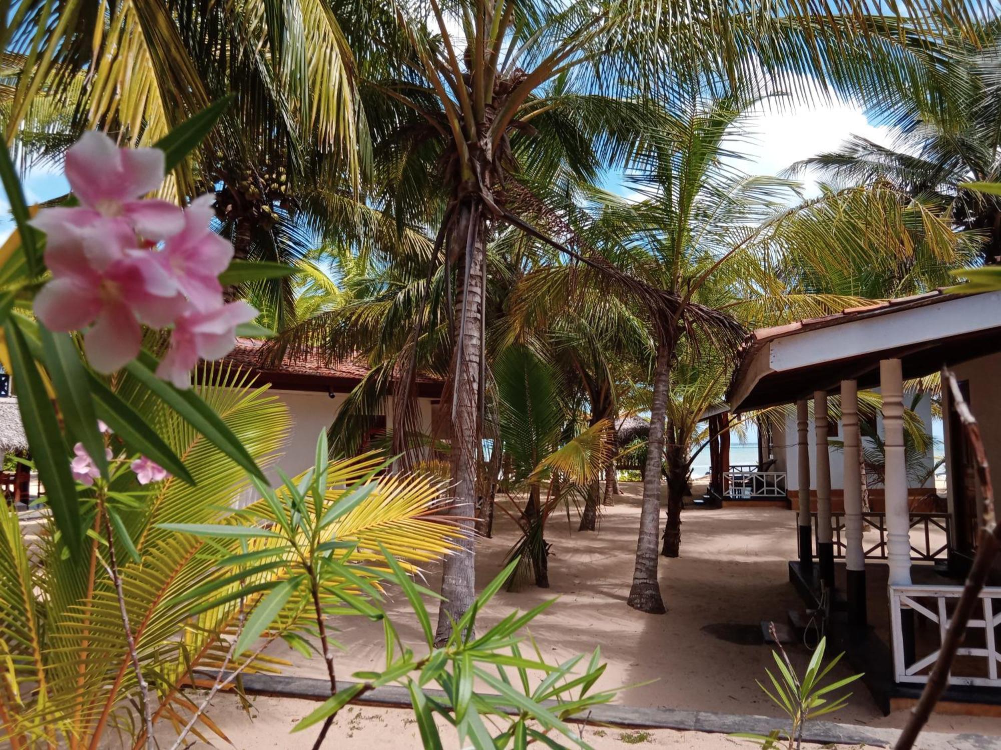 Ibisbird Beach Bungalow Tangalle Exterior foto