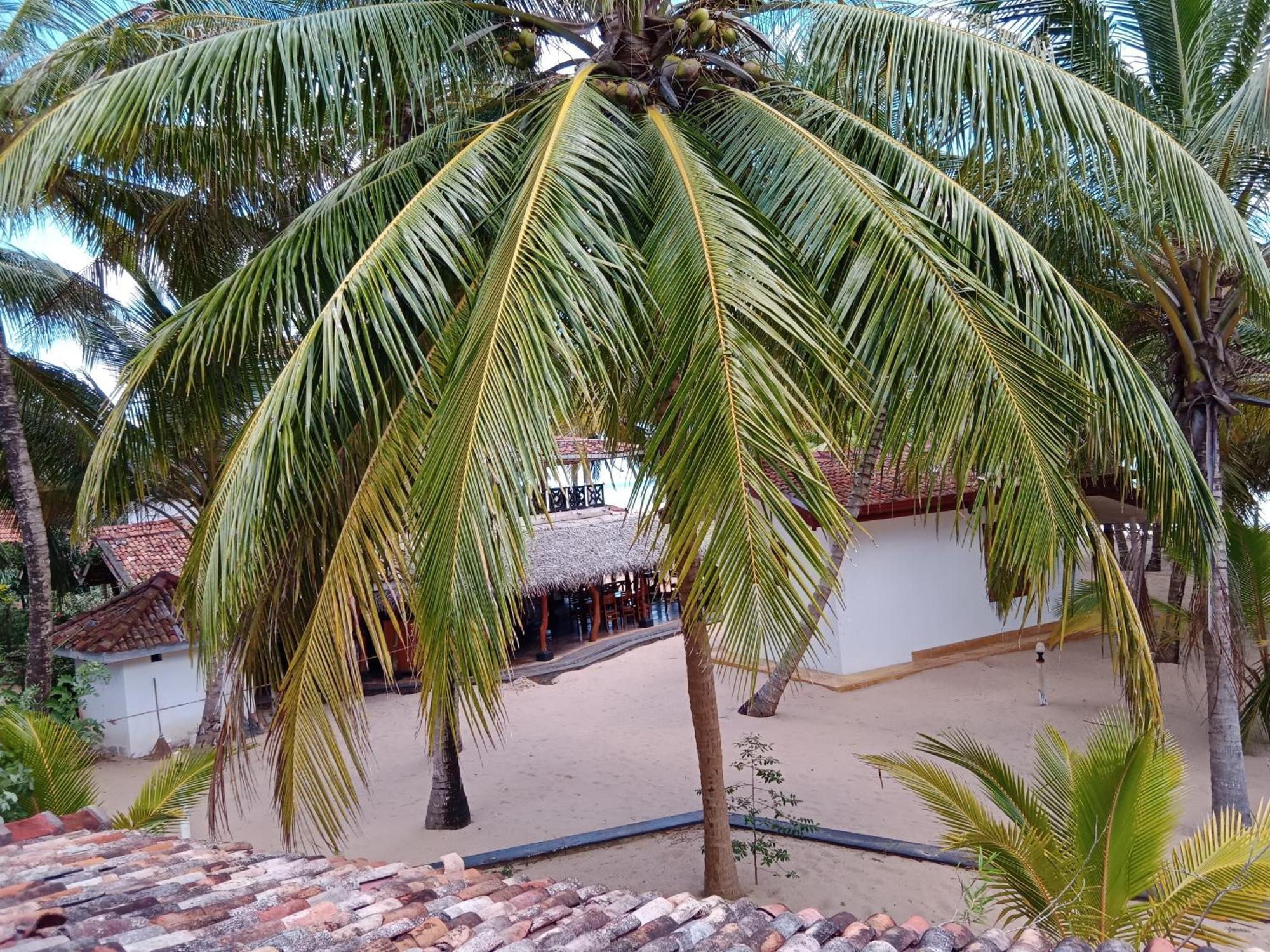 Ibisbird Beach Bungalow Tangalle Exterior foto