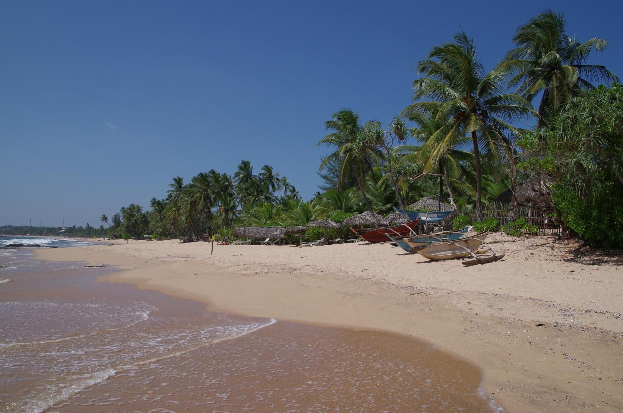 Ibisbird Beach Bungalow Tangalle Exterior foto